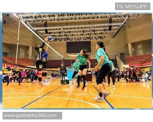 武汉排球队的耐力探秘：从训练到比赛的坚持与拼搏