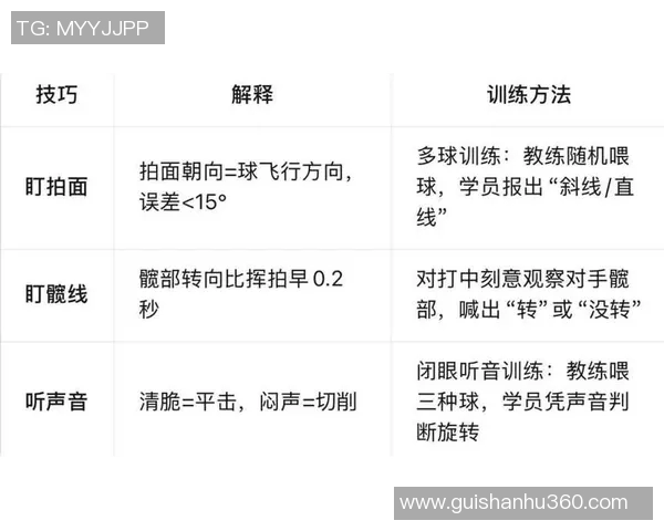 网球新手必看：从基础技术到实战技巧的全面入门指南
